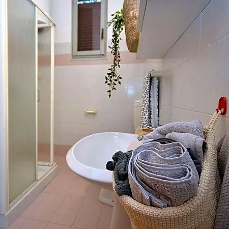 Modern Family With Enclosed Garden