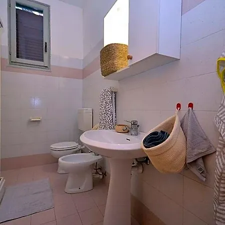 Modern Family With Enclosed Garden *